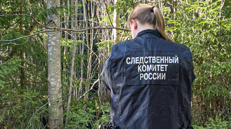 В Тверской области в лесу нашли скелетированные останки человека - новости ТИА