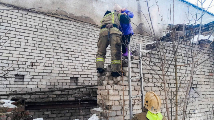 В Осташкове спасатели МЧС сняли ребенка с крыши заброшки - новости ТИА