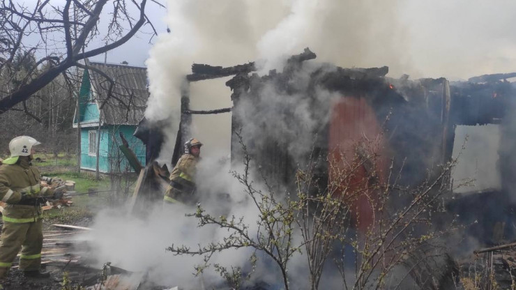 В Нелидовском округе дотла сгорела дача в СНТ "Амховицы" - новости ТИА