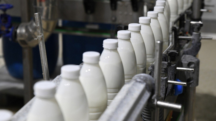 На тверском предприятии в молоке нашли кишечную палочку - новости ТИА