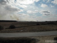 В Тверской области вдоль трассы горит трава - новости ТИА
