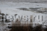 В Тверской области из воды достали тело мужчины - новости ТИА