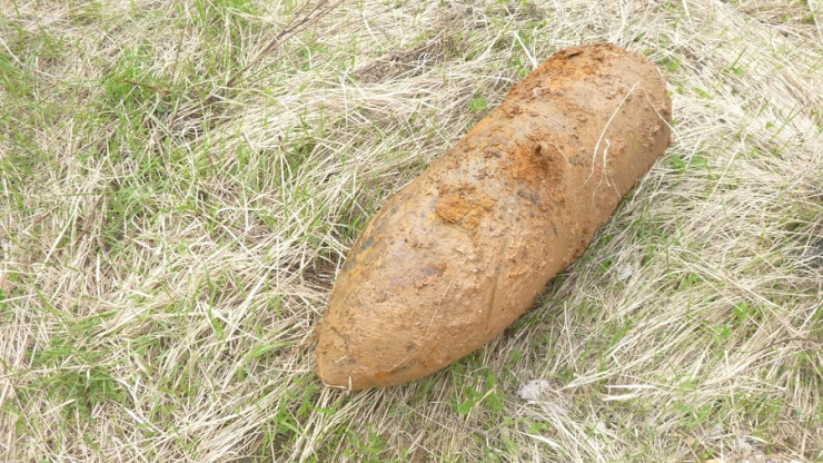 В лесу рядом с городом Белый нашли 250-килограммовую авиационную бомбу - новости ТИА